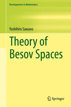 Couverture de l’ouvrage Theory of Besov Spaces