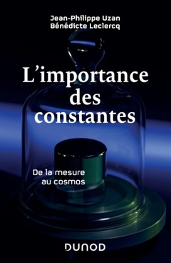 Cover of the book L'importance des constantes