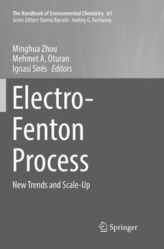 Couverture de l’ouvrage Electro-Fenton Process
