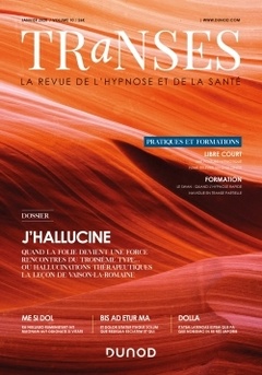 Cover of the book Transes n°10 - 1/2020 - J'hallucine