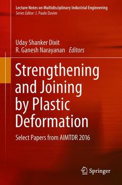 Cover of the book Strengthening and Joining by Plastic Deformation