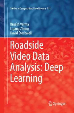 Cover of the book Roadside Video Data Analysis