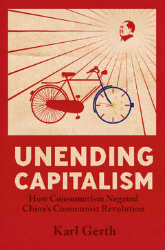 Couverture de l’ouvrage Unending Capitalism