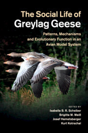 Couverture de l’ouvrage The Social Life of Greylag Geese