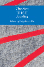 Couverture de l’ouvrage The New Irish Studies