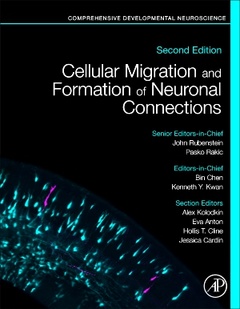 Couverture de l’ouvrage Cellular Migration and Formation of Axons and Dendrites