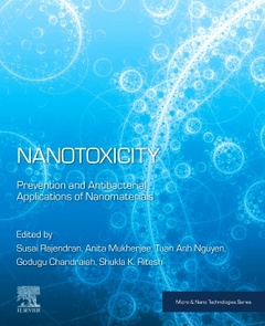 Couverture de l’ouvrage Nanotoxicity