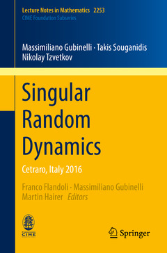 Couverture de l’ouvrage Singular Random Dynamics