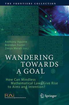 Cover of the book Wandering Towards a Goal