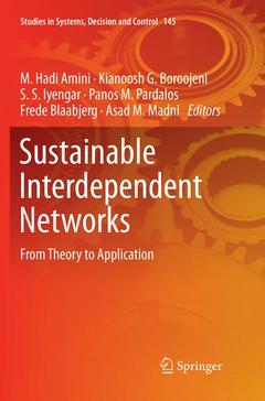 Couverture de l’ouvrage Sustainable Interdependent Networks