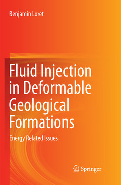 Cover of the book Fluid Injection in Deformable Geological Formations