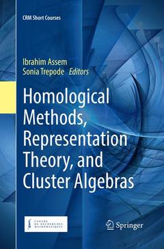 Couverture de l’ouvrage Homological Methods, Representation Theory, and Cluster Algebras