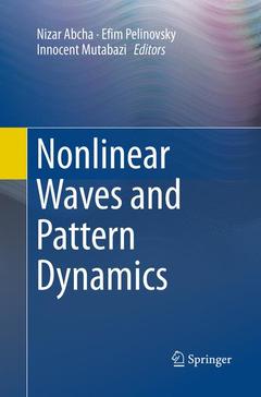 Couverture de l’ouvrage Nonlinear Waves and Pattern Dynamics