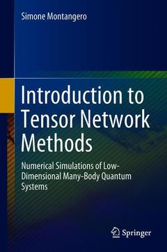 Couverture de l’ouvrage Introduction to Tensor Network Methods