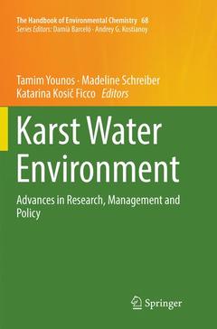 Cover of the book Karst Water Environment