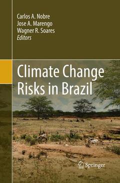 Couverture de l’ouvrage Climate Change Risks in Brazil
