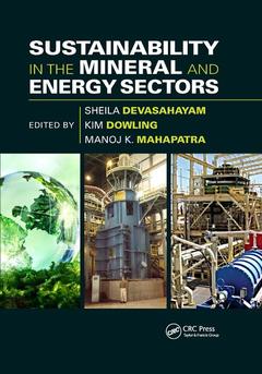 Cover of the book Sustainability in the Mineral and Energy Sectors