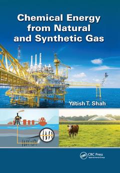 Couverture de l’ouvrage Chemical Energy from Natural and Synthetic Gas