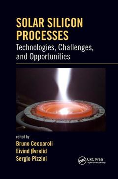 Cover of the book Solar Silicon Processes