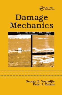 Couverture de l’ouvrage Damage Mechanics