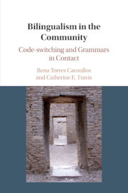 Cover of the book Bilingualism in the Community
