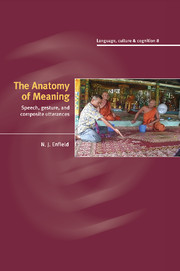 Couverture de l’ouvrage The Anatomy of Meaning