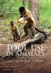 Couverture de l’ouvrage Tool Use in Animals