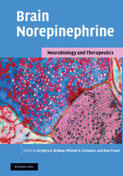 Cover of the book Brain Norepinephrine