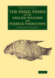 Couverture de l’ouvrage The Fossil Fishes of the English Wealden and Purbeck Formations