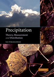 Cover of the book Precipitation