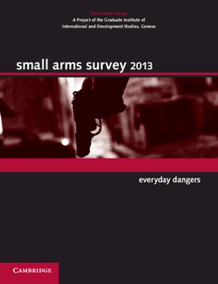 Couverture de l’ouvrage Small Arms Survey 2013