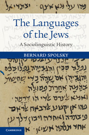 Couverture de l’ouvrage The Languages of the Jews