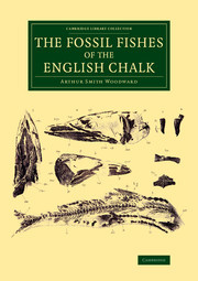 Cover of the book The Fossil Fishes of the English Chalk