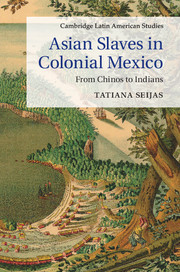 Couverture de l’ouvrage Asian Slaves in Colonial Mexico