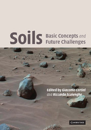Couverture de l’ouvrage Soils: Basic Concepts and Future Challenges