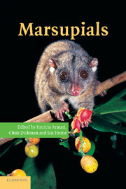Couverture de l’ouvrage Marsupials