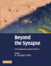 Couverture de l’ouvrage Beyond the Synapse