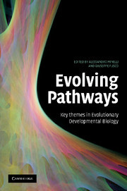 Cover of the book Evolving Pathways