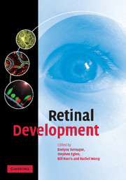 Couverture de l’ouvrage Retinal Development