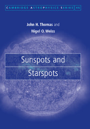 Couverture de l’ouvrage Sunspots and Starspots