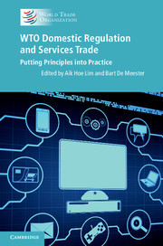 Cover of the book WTO Domestic Regulation and Services Trade
