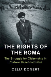 Cover of the book The Rights of the Roma