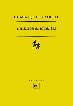 Cover of the book Intuition et idéalités