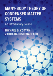 Couverture de l’ouvrage Many-Body Theory of Condensed Matter Systems