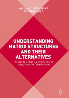 Cover of the book Understanding Matrix Structures and their Alternatives
