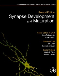 Couverture de l’ouvrage Synapse Development and Maturation