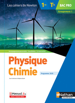 Couverture de l’ouvrage Physique-chimie 1re/Term Bac Pro - Groupement 1 - (Les cahiers de Newton) - Livre + licence élève