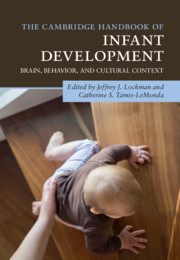 Couverture de l’ouvrage The Cambridge Handbook of Infant Development