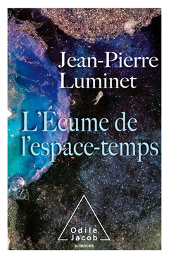 Cover of the book L'Écume de l'espace temps