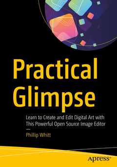 Cover of the book Practical Glimpse